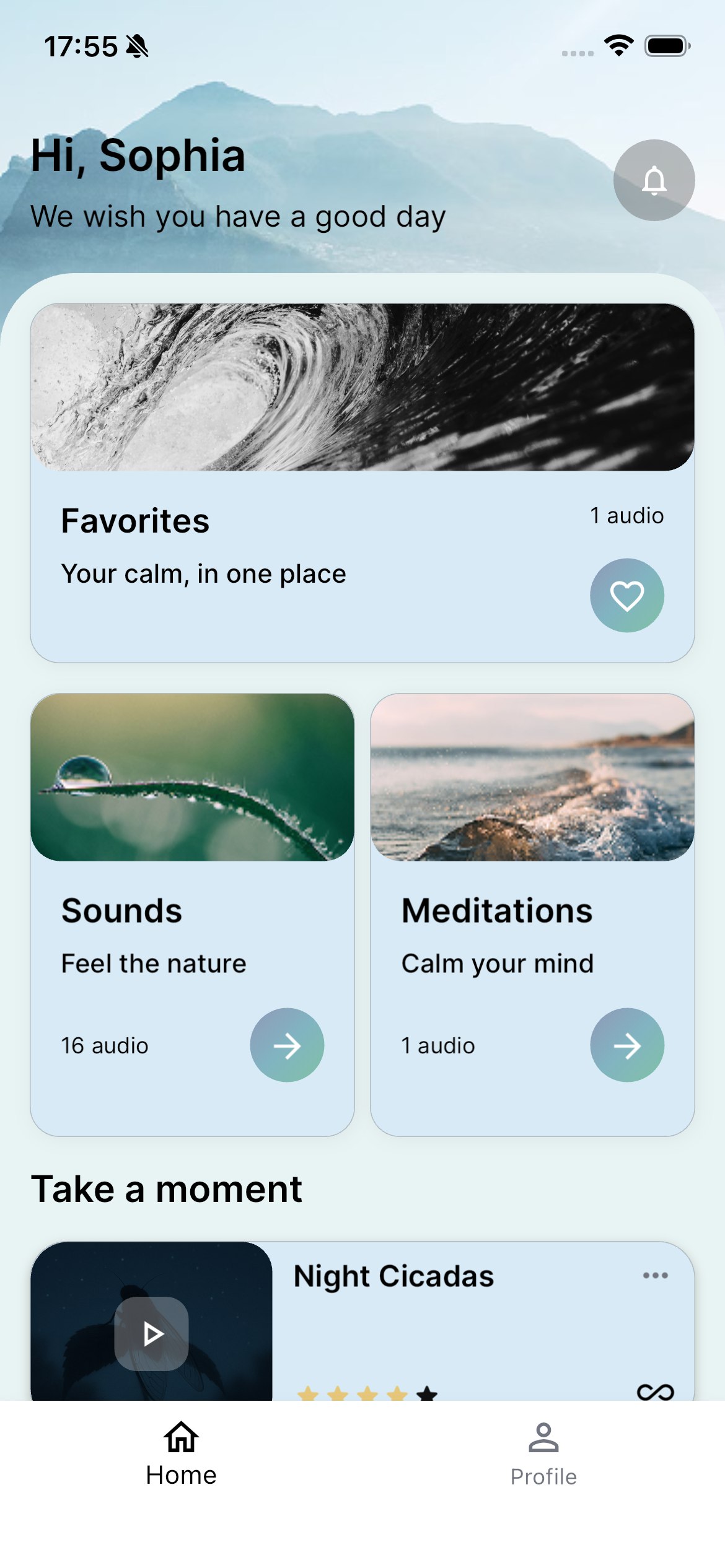 Home screen